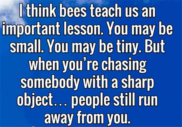 Bees teach us an important lesson.