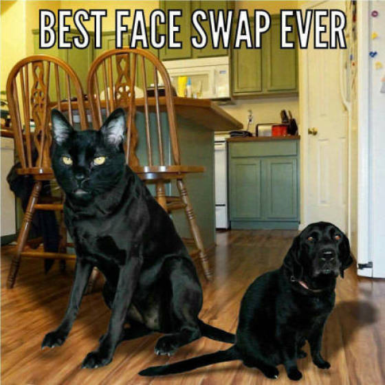 Best face swap ever.