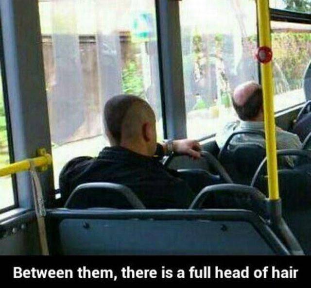 Between the both of them, there is a full head of hair.