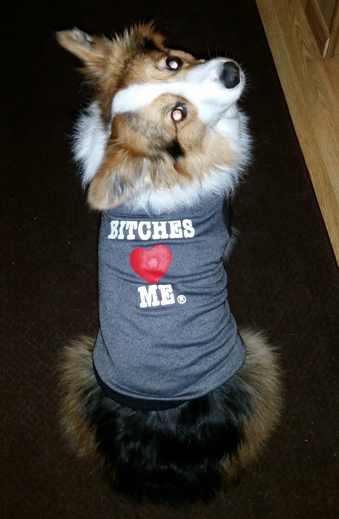 Bitches love me.