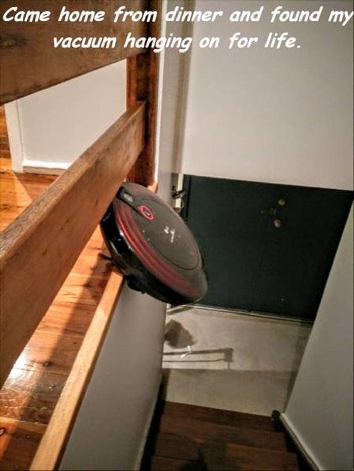 Came home to find my vacuum contemplating suicide.