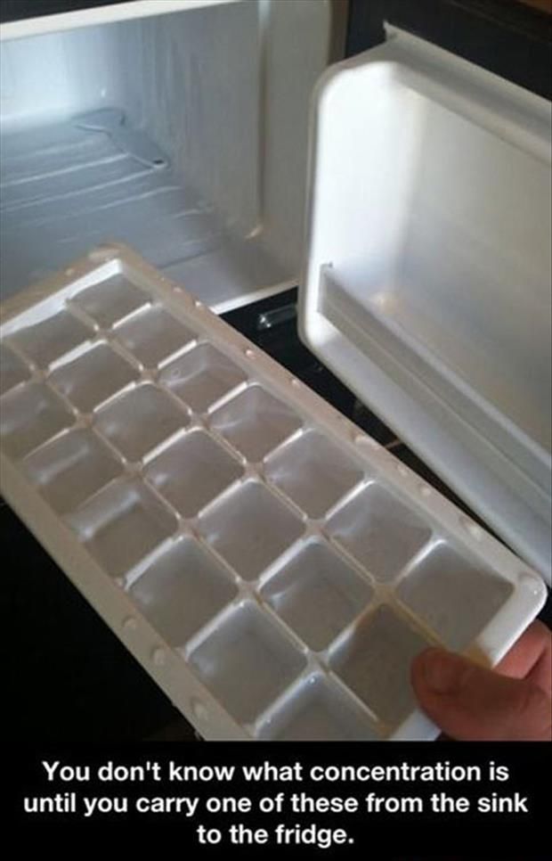 Carrying an ice tray full of water to the freezer is the ultimate test of concentration.