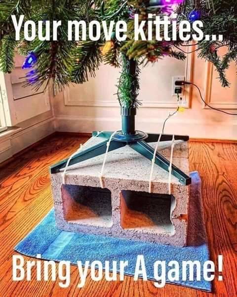 Cat proof Christmas tree.