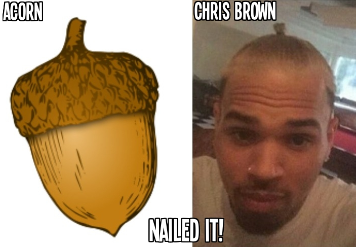 If Chris Brown was trying to look like an acorn, he nailed it.