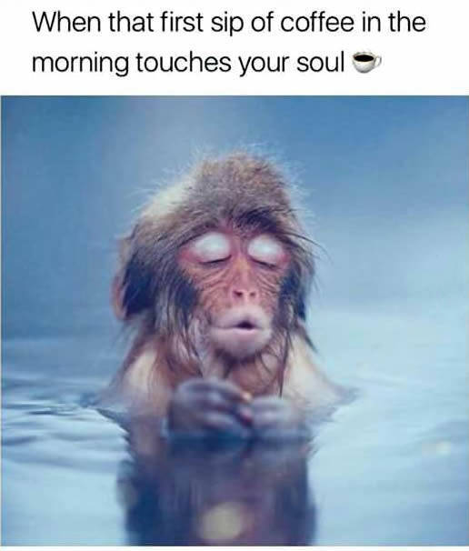 Coffee soothes the soul.