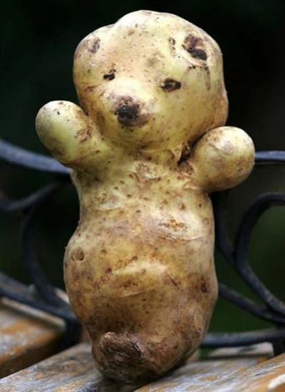 Cutest potato you will ever see.