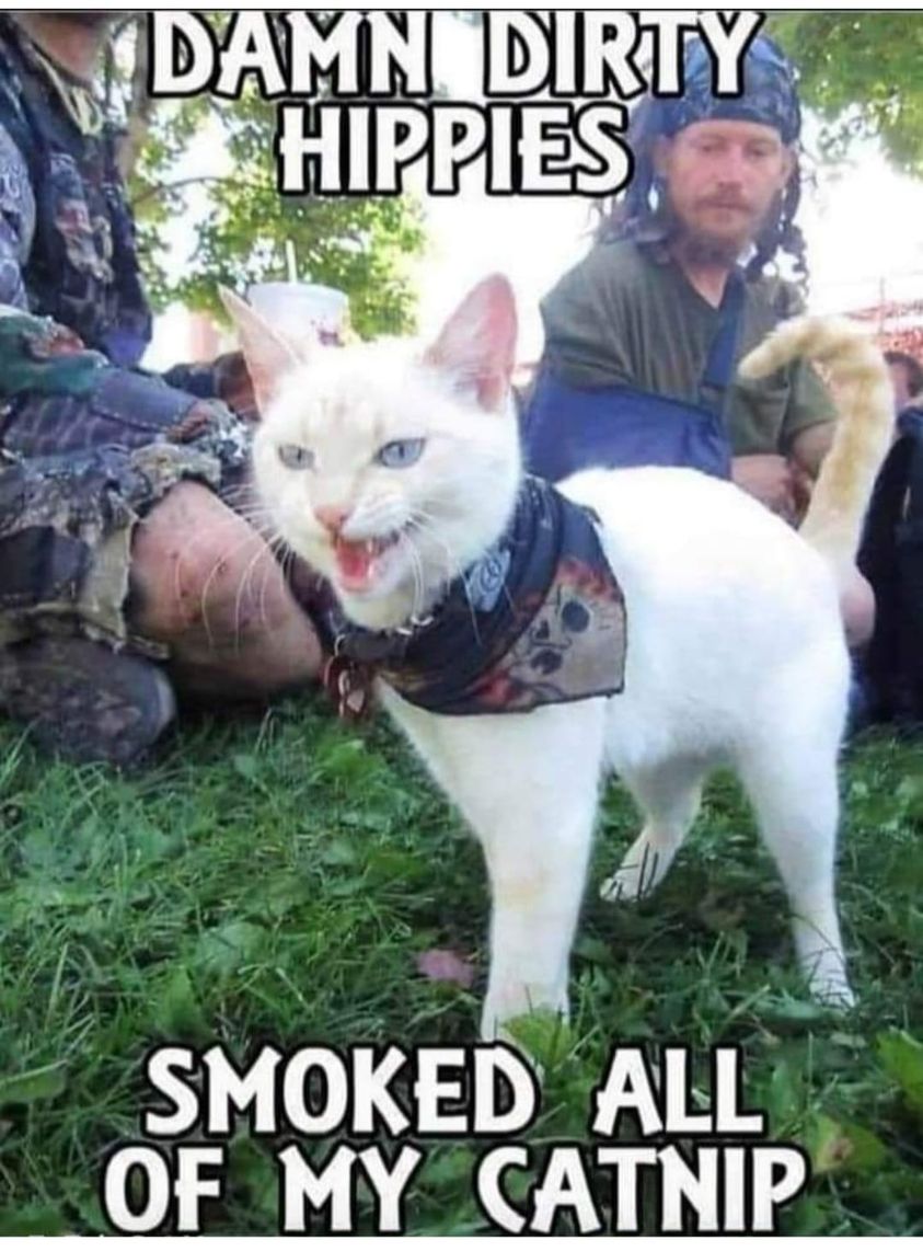 Damn dirty hippies.