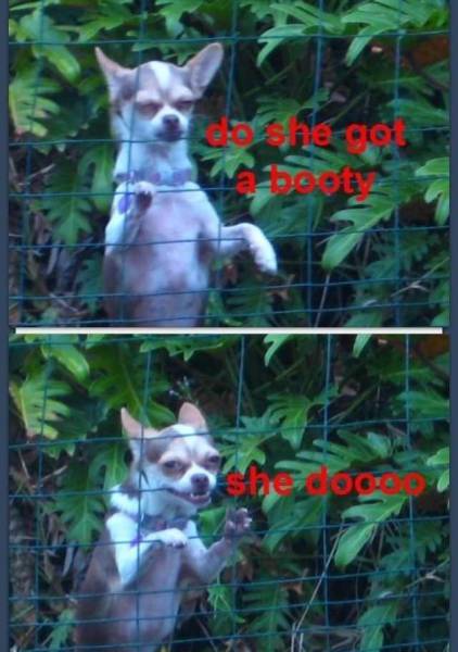 Do she got a booty.