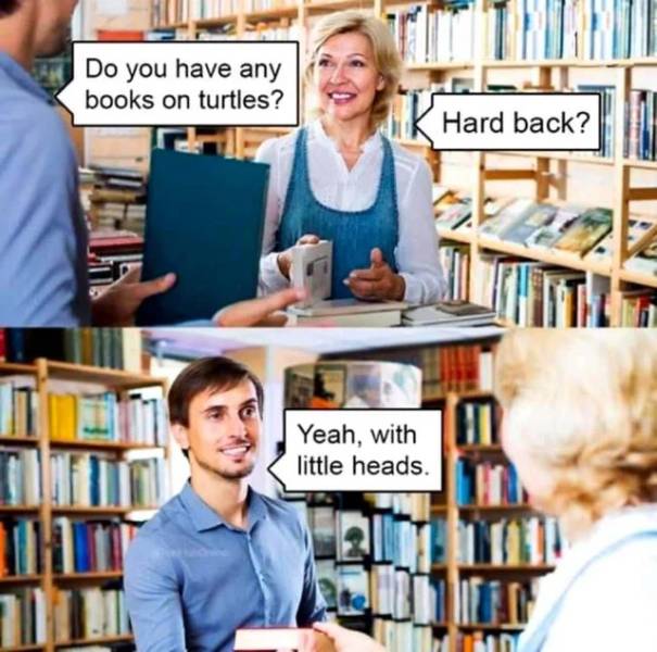 Do you have any books on turtles?