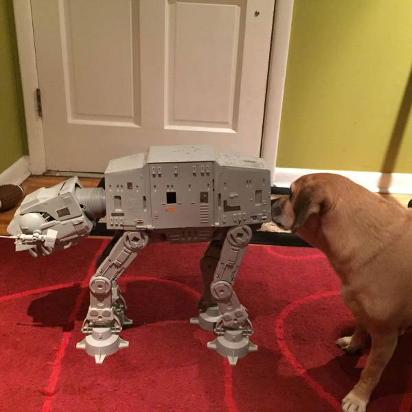 Dog saying hello to an AT-AT Walker from Star Wars.