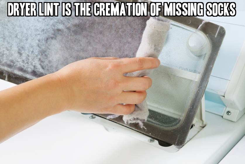 Dryer lint is the cremation of missing socks.