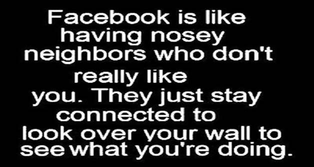 Facebook is like having nosey neighbors.
