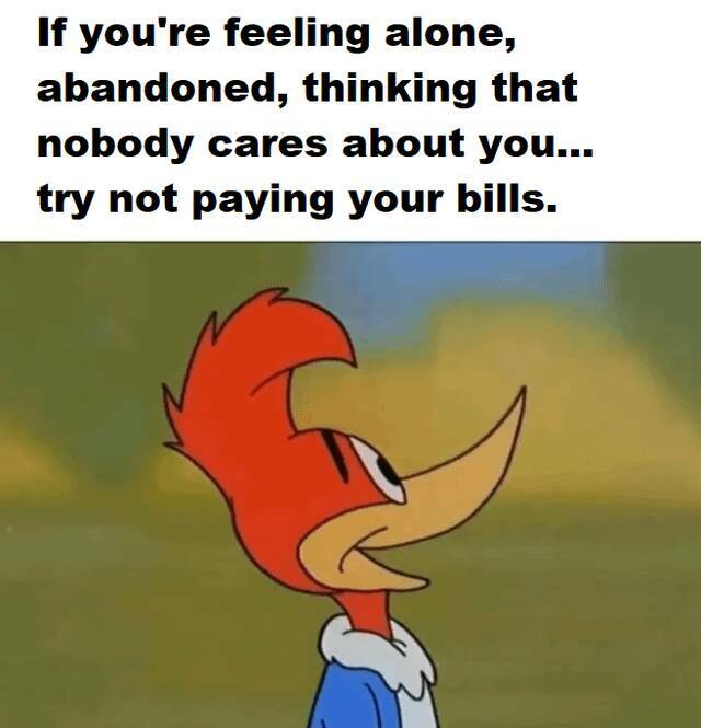 Feeling lonely?