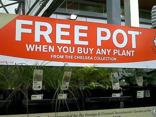 Free Pot and not even a line. What a deal!