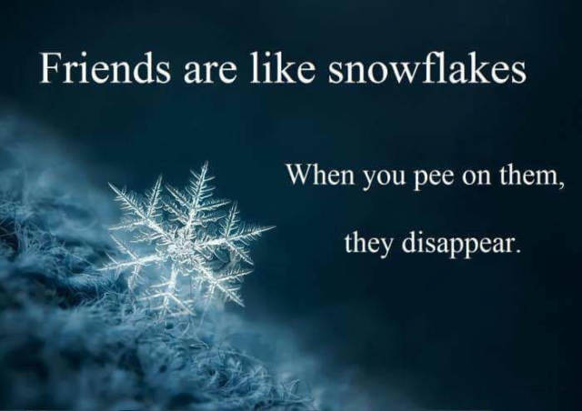 Friends are like snowflakes.