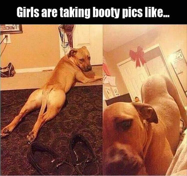 Girls are taking booty pics like...