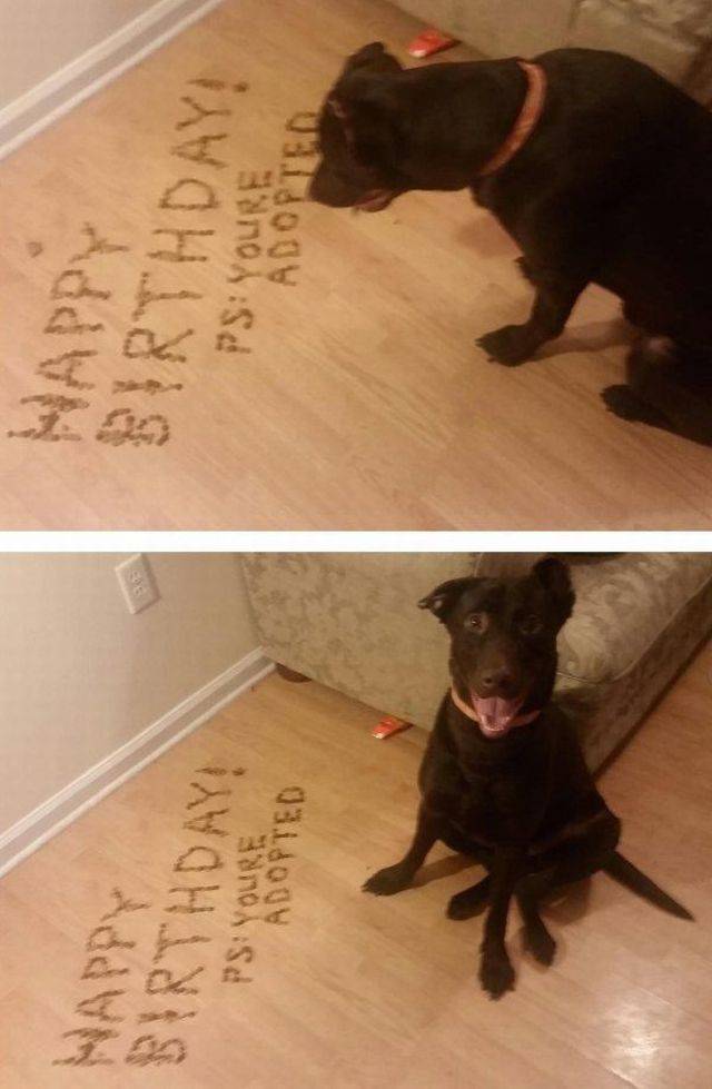 Happy Birthday! You're adopted.