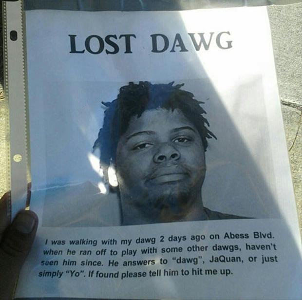 Has Anyone Seen My Dawg? Please Help.