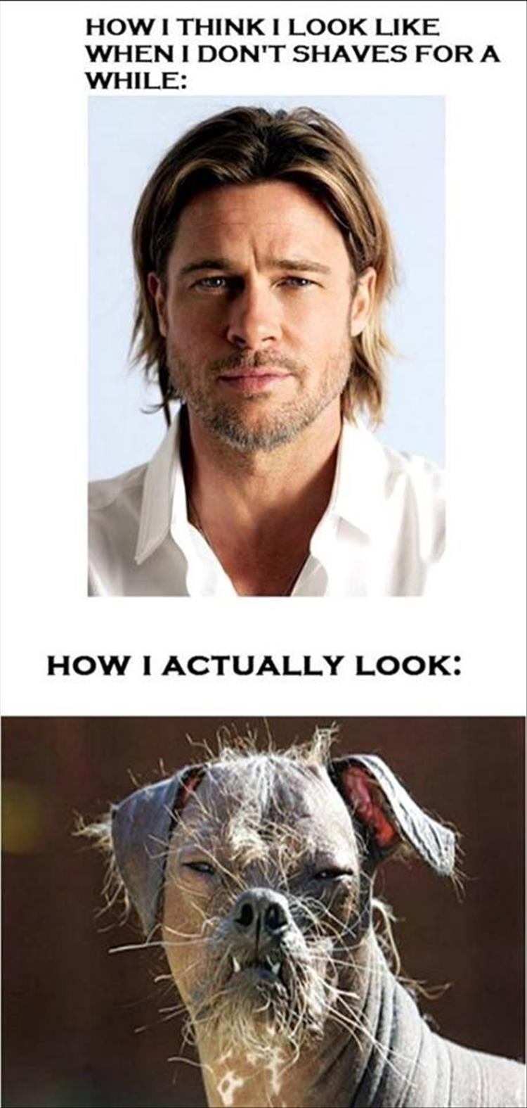 How I think I look when I don't shave for awhile.