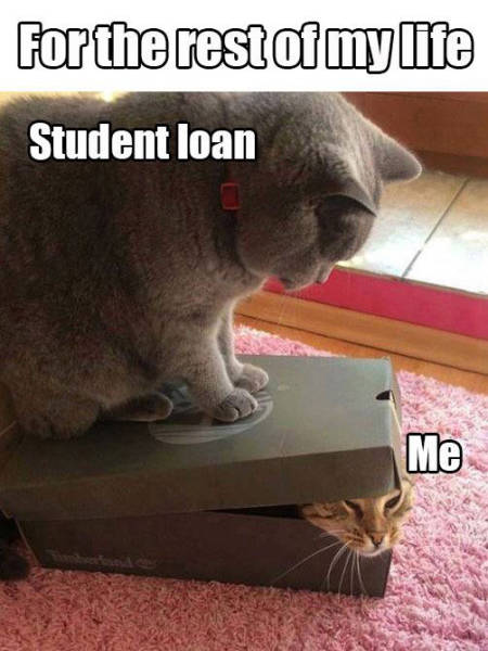 How student loans make you feel.