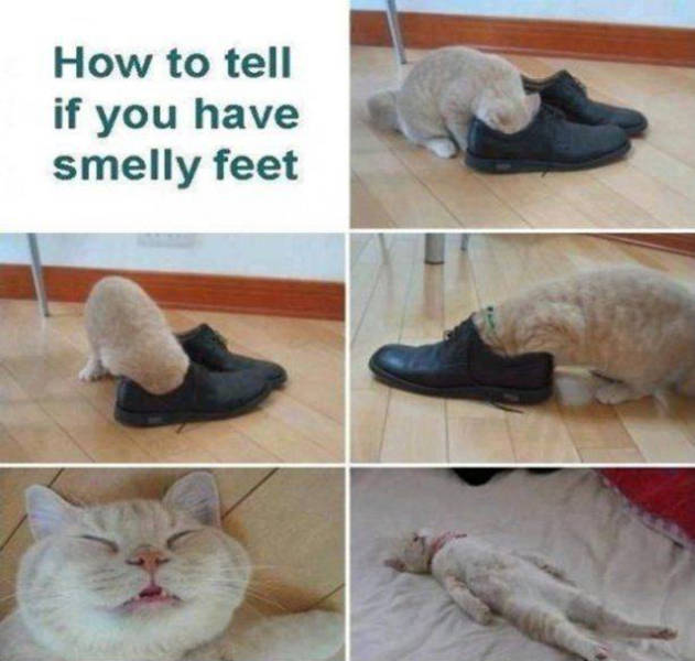 How to tell if you have smelly feet.