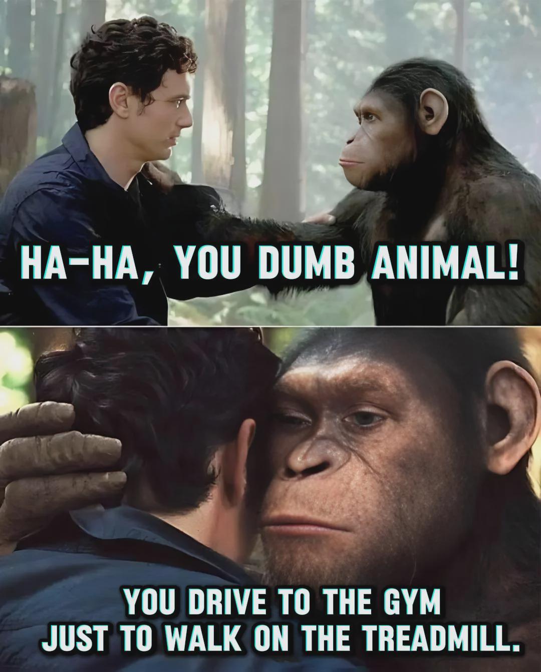Humans are way more dumb than animals.