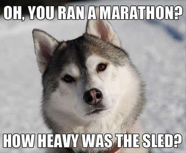 Humans Don't Understand How Easy They Really Have It. 