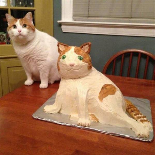 Cat cake is extremely lifelike.