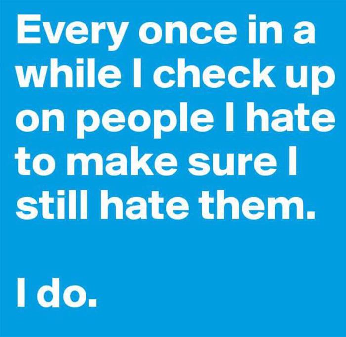 Sometimes I check up on people I hate to make sure I still hate them.