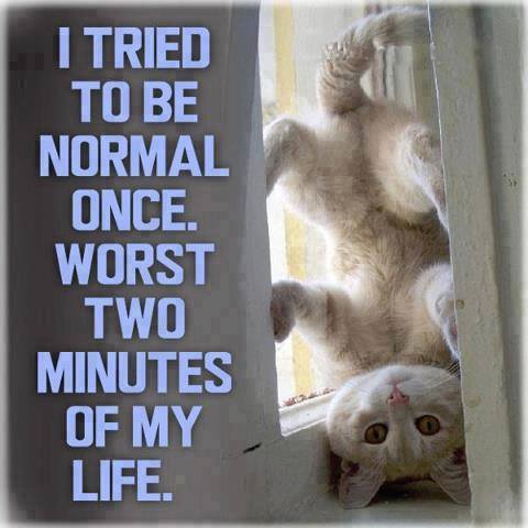 I tried to be normal once...