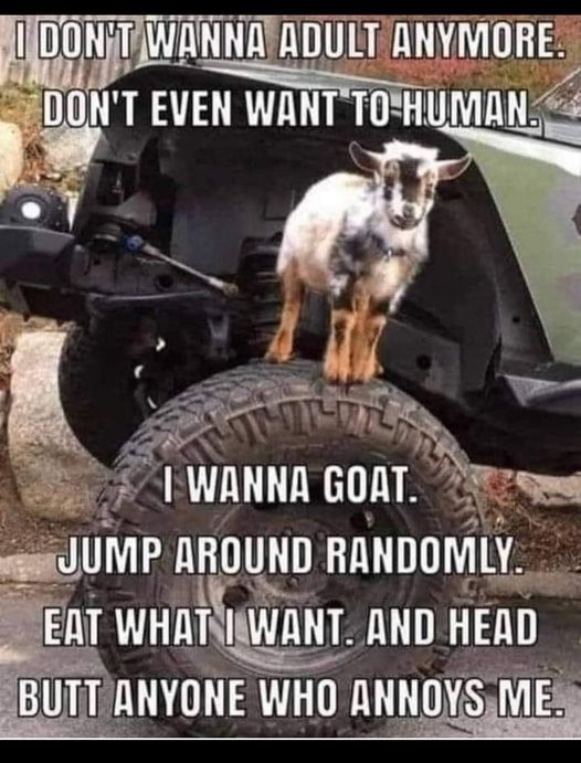 I want to be a goat.