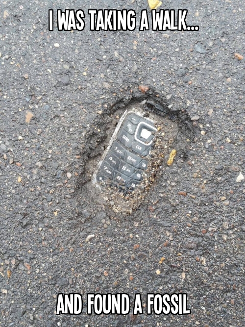 I was out taking a walk and found a fossil.