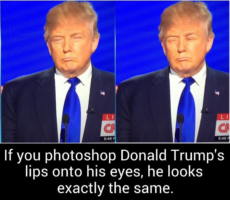 If you photoshop Donald Trump's lips onto his eyes, he looks exactly the same.