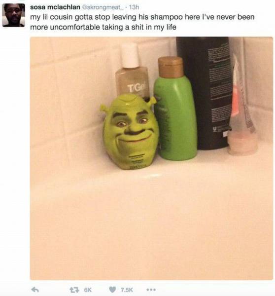It's very uncomfortable to take a dump with Shrek watching.