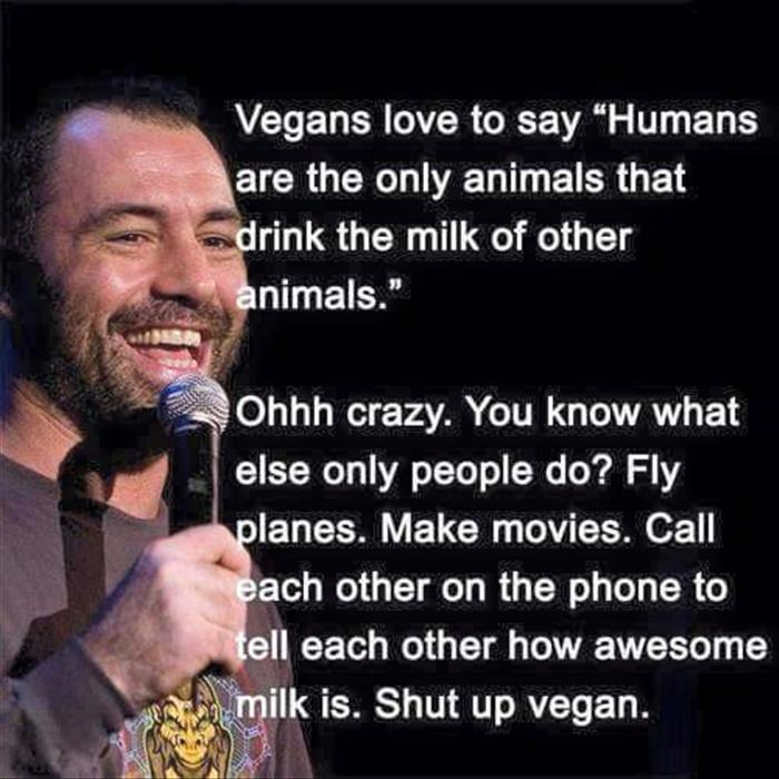 Joe Rogan on vegans.