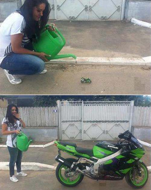 Just add water regularly and wait for a full size version