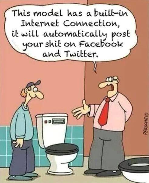 Keep your friends on Facebook and Twitter updated in real time on your turd status with this high tech toilet.