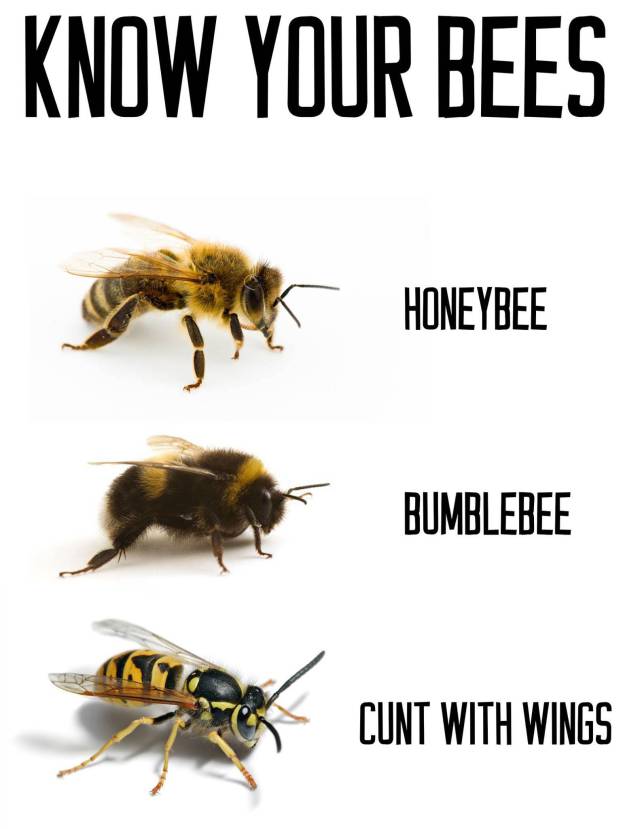 Know your bees.