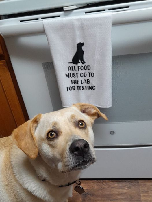 Lab testing.