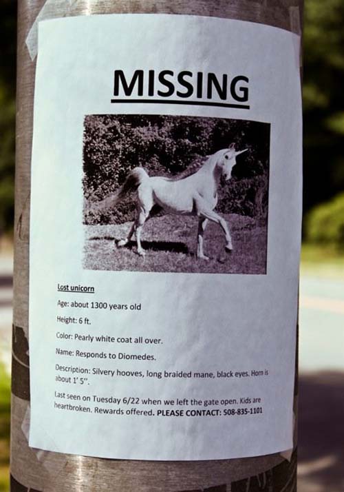 Missing Unicorn. Rewards Offered. Please Help.