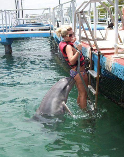 More proof dolphins are extremely intelligent