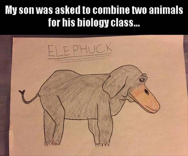 My son was asked to combine two animals for biology class. Presenting the Elephuck.