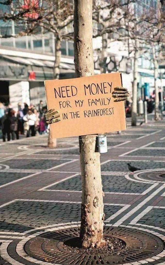 Need money for my family in the rainforest.