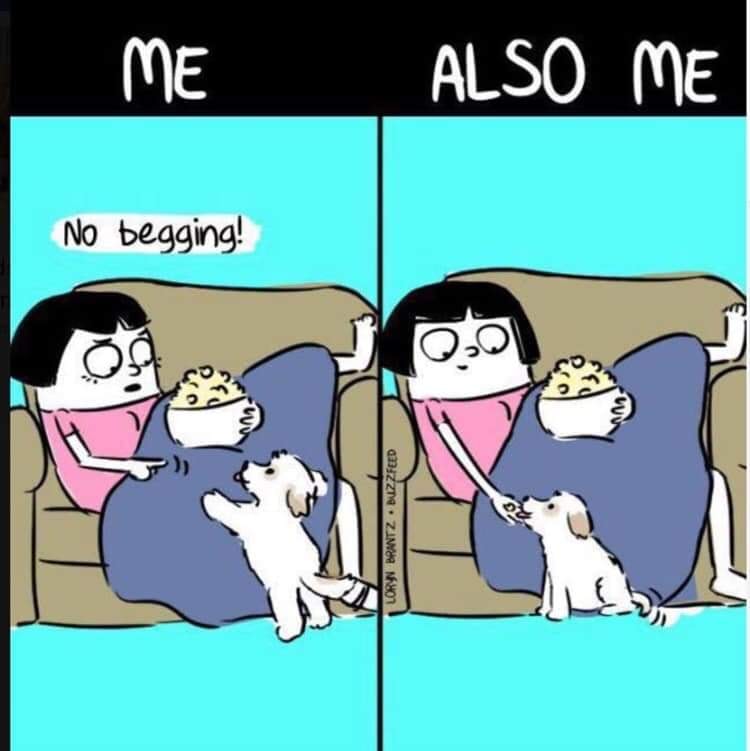 No begging!