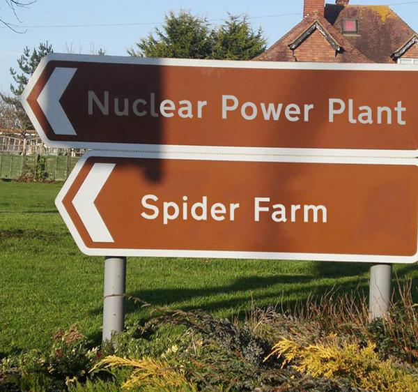 Nuclear power plant near a spider farm. What could possibly go wrong?