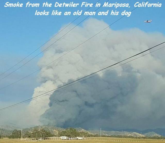 Old man and his dog appear in the smoke from the Detwiler Fire in Mariposa, California.