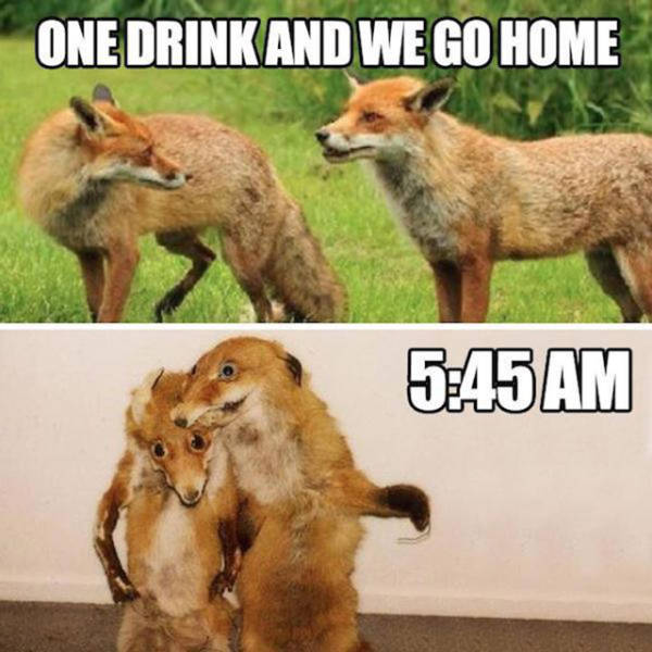 One drink and we go home.