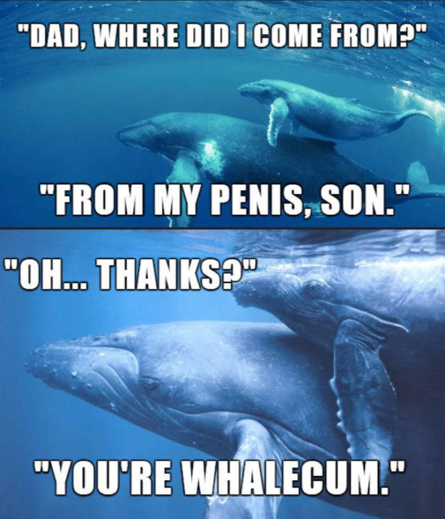 One whale of a dirty joke.