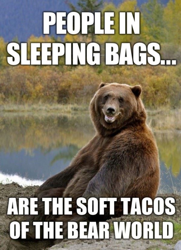 People In Sleeping Bags Are The Soft Tacos of The Bear World.