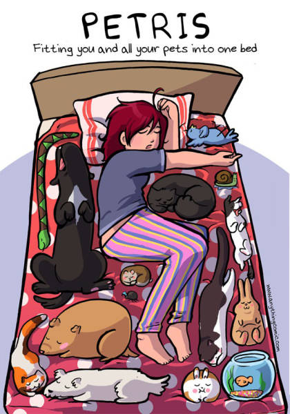 Petris: Fitting you and all your pets into one bed. Much harder than Tetris.